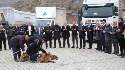 Oltu Belediyesi, hizmet kapasitesini artırmak amacıyla araç filosuna yeni iş