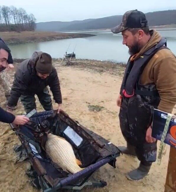 Ömerli Barajı’nda sportif balıkçılığı teşvik etmek için yapılan yarışmada yakalanan