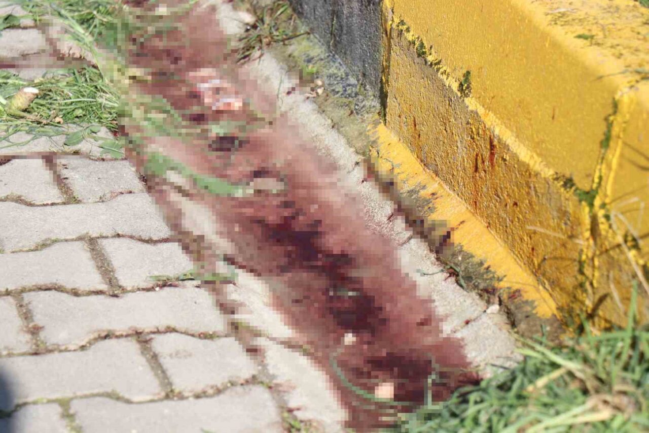 Sakarya’nın Arifiye ilçesinde eşinin tabancayla vurarak öldürdüğü kadının yarın Serdivan