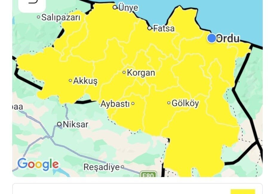 Ordu’nun iç ve yüksek kesimlerinde saatteki hızı 90 kilometreyi bulması