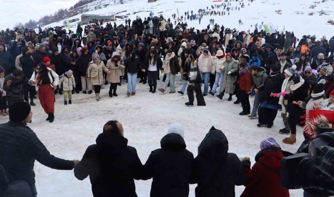Ordu’nun Akkuş ilçesinde bulunan bin 700 rakımlı Argan Yaylası’nda düzenlenen