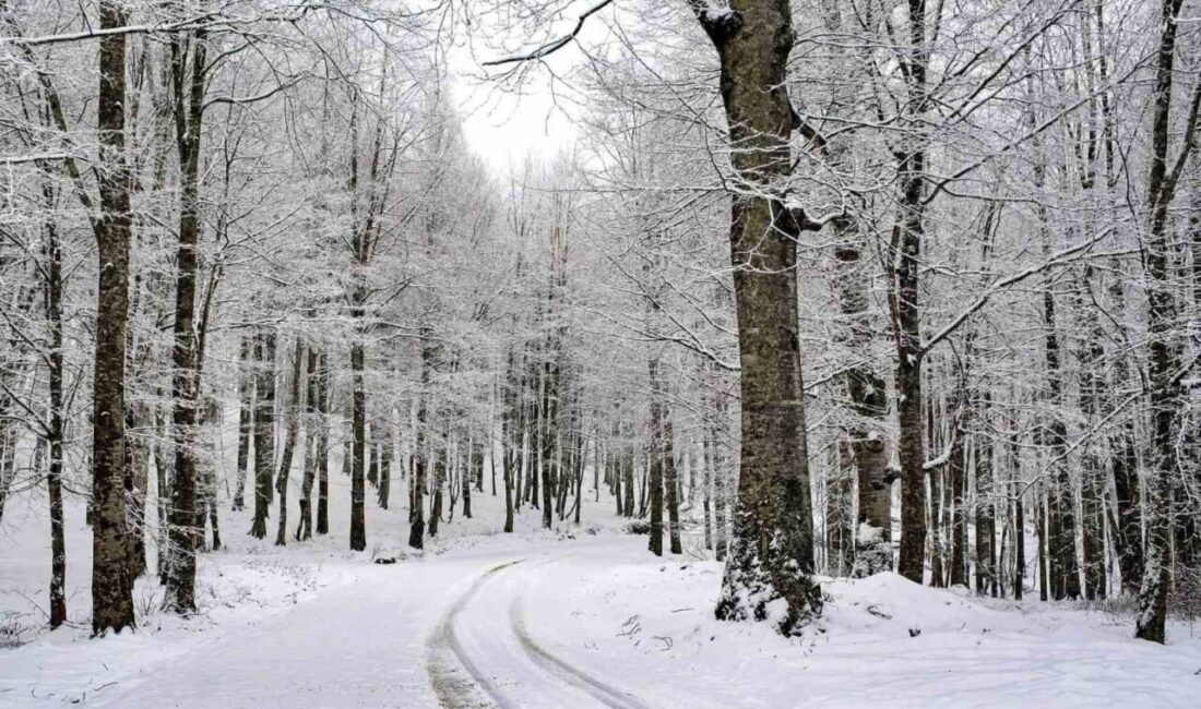Ordu Valiliği, kar yağışı nedeniyle 12 ilçenin tamamında, 3 ilçede