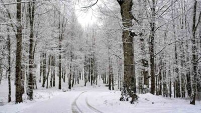 Ordu Valiliği, kar yağışı nedeniyle 12 ilçenin tamamında, 3 ilçede