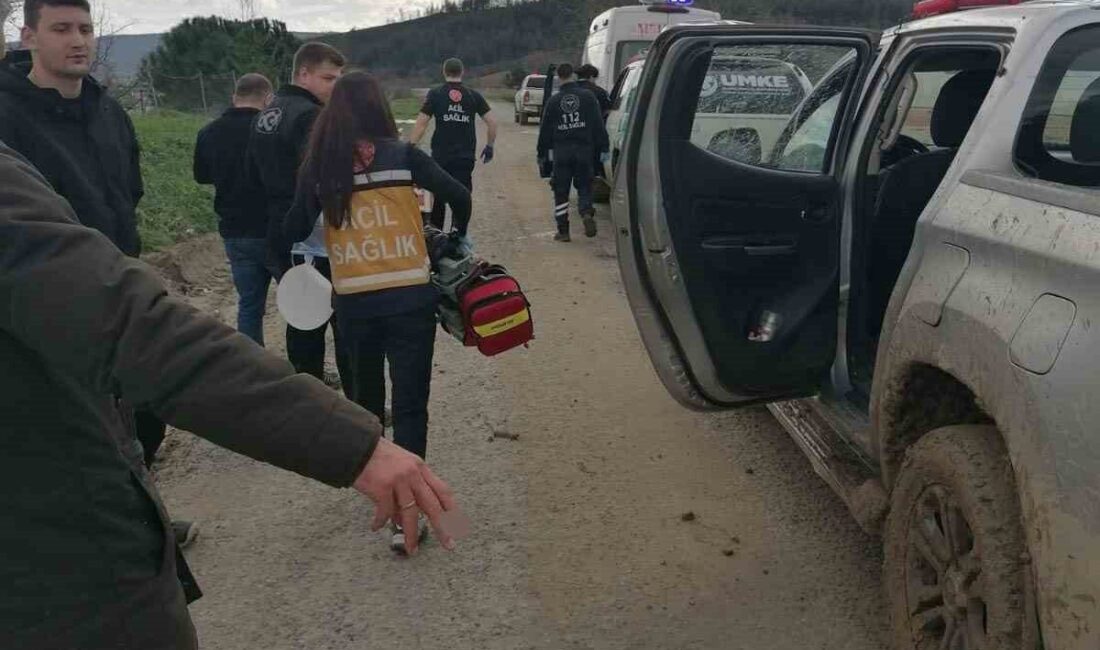 Çanakkale’nin Gelibolu ilçesinde bir orman işçisi kesim sırasında kalp krizi