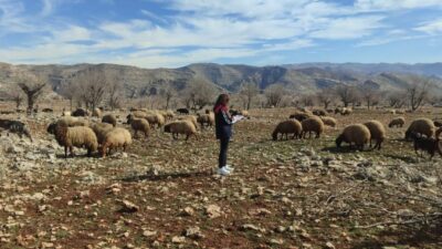 Şırnak’ın Güçlükonak ilçesine bağlı Ormaniçi köyünde mera arazilerine yönelik dikkat
