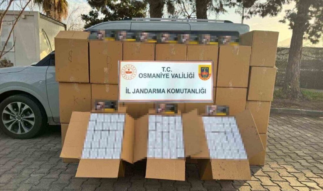 Osmaniye’de son bir haftada 121 asayiş olayında 105 şüpheli yakalanırken,