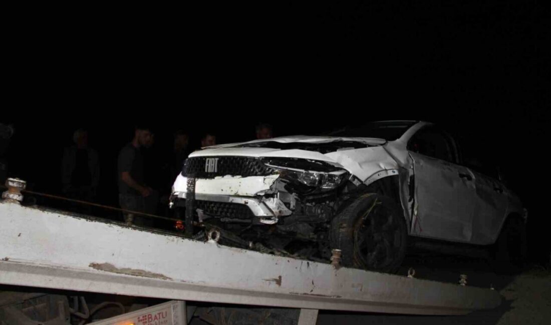 Samsun’un Çarşamba ilçesinde otomobilin fındık bahçesine uçtuğu kazada 2 kişi