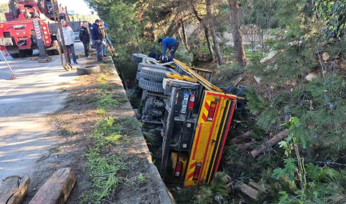 Muğla’nın Bodrum ilçesinde otomobile çarpıp şarampole devrilen vincin sürücü yaralandı.