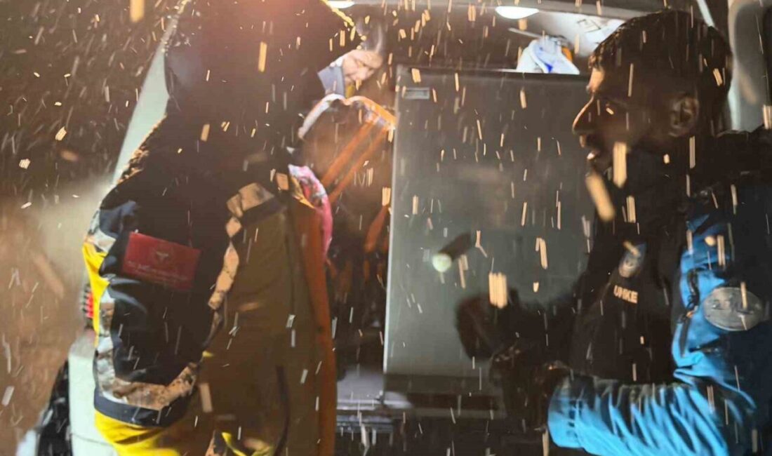 Tunceli’nin Ovacık ilçesinde göğüs ağrısı yaşayan 70 yaşındaki vatandaş, UMKE,