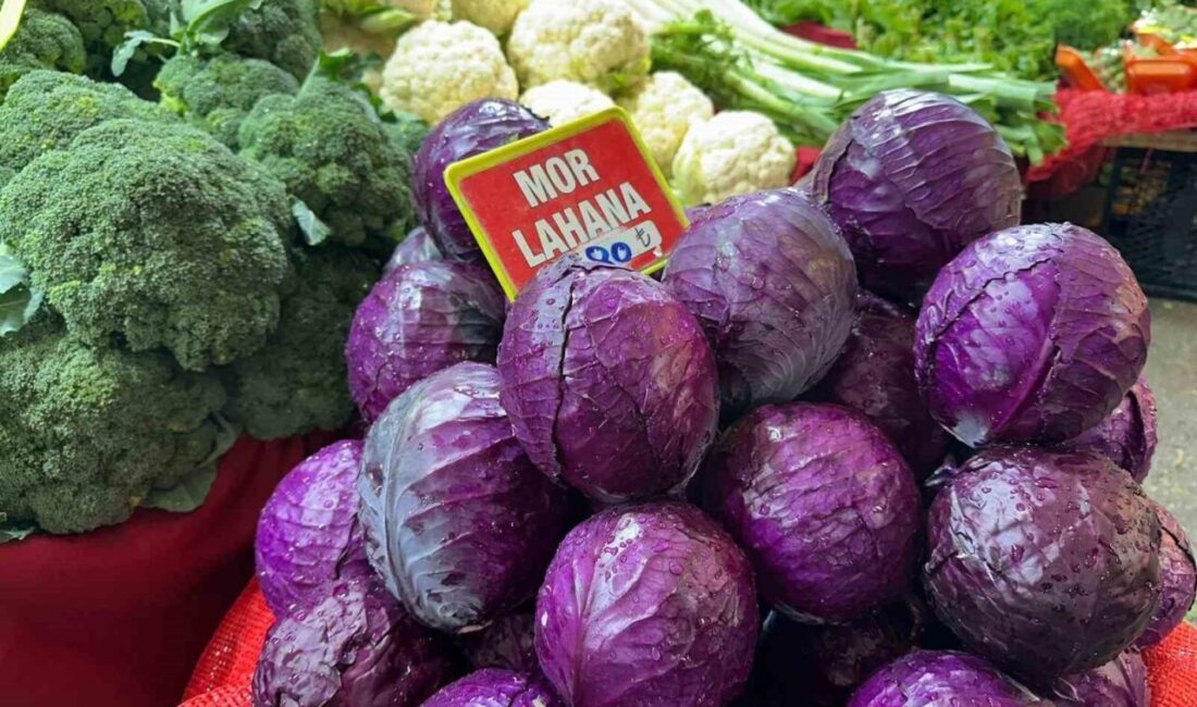 Bursa’da pazarlarda tanesi 80 liradan satılan karalahanayı (mor lahana) tüccarlar