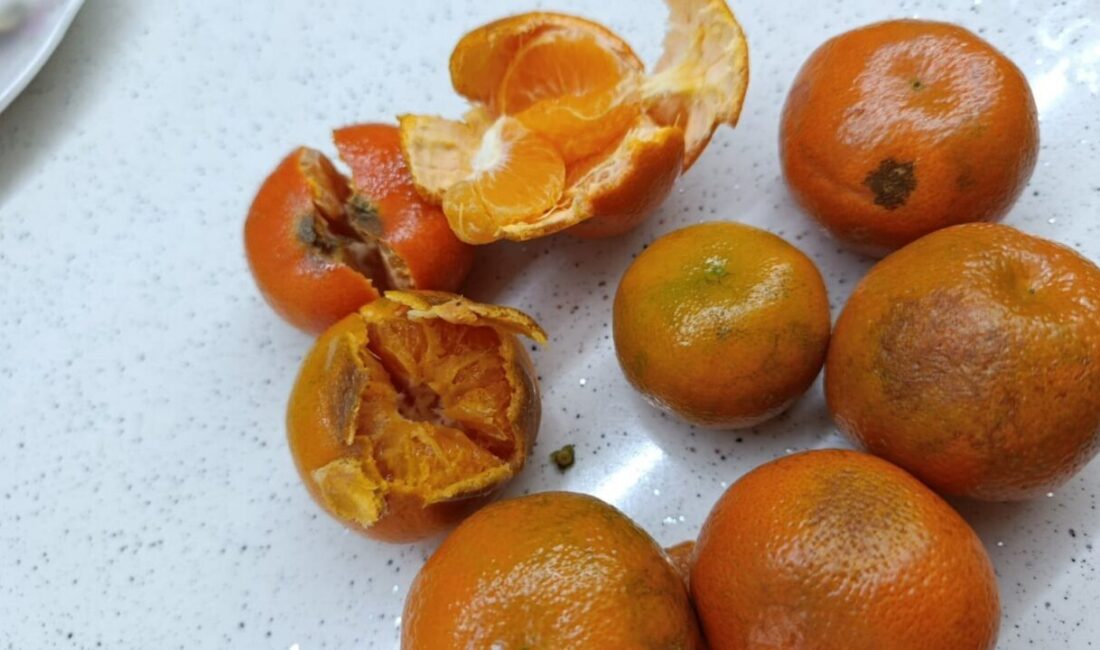 Eskişehir’de mahallesindeki pazardan 2 kilogram mandalina satın alan vatandaş, meyvelerin
