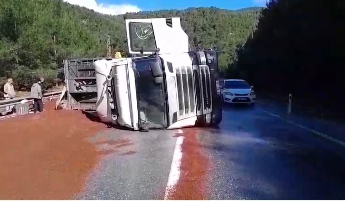 ANTALYA (İHA) – Antalya’nın Akseki ilçesinde peyzaj malzemesi yüklü tırın