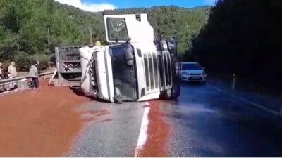 ANTALYA (İHA) – Antalya’nın Akseki ilçesinde peyzaj malzemesi yüklü tırın