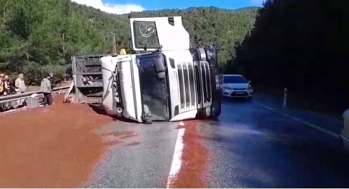 ANTALYA (İHA) – Antalya’nın Akseki ilçesinde peyzaj malzemesi yüklü tırın