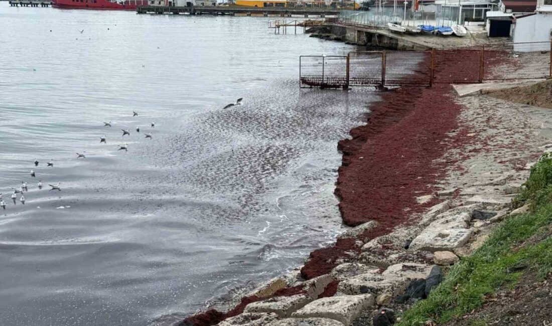 Tekirdağ’ın Süleymanpaşa ilçesinde etkili olan poyraz nedeniyle sahil kesiminde kırmızı