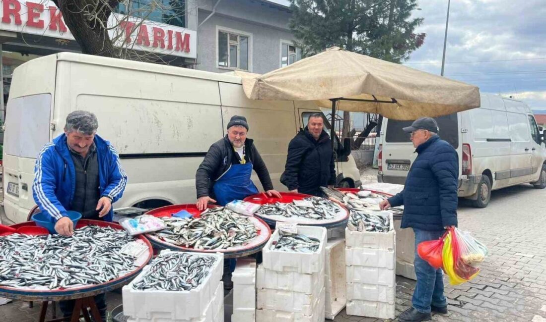Kütahya’nın Tavşanlı ilçesinde Ramazan ayının başlamasıyla birlikte balık satışları yoğunlaştı.