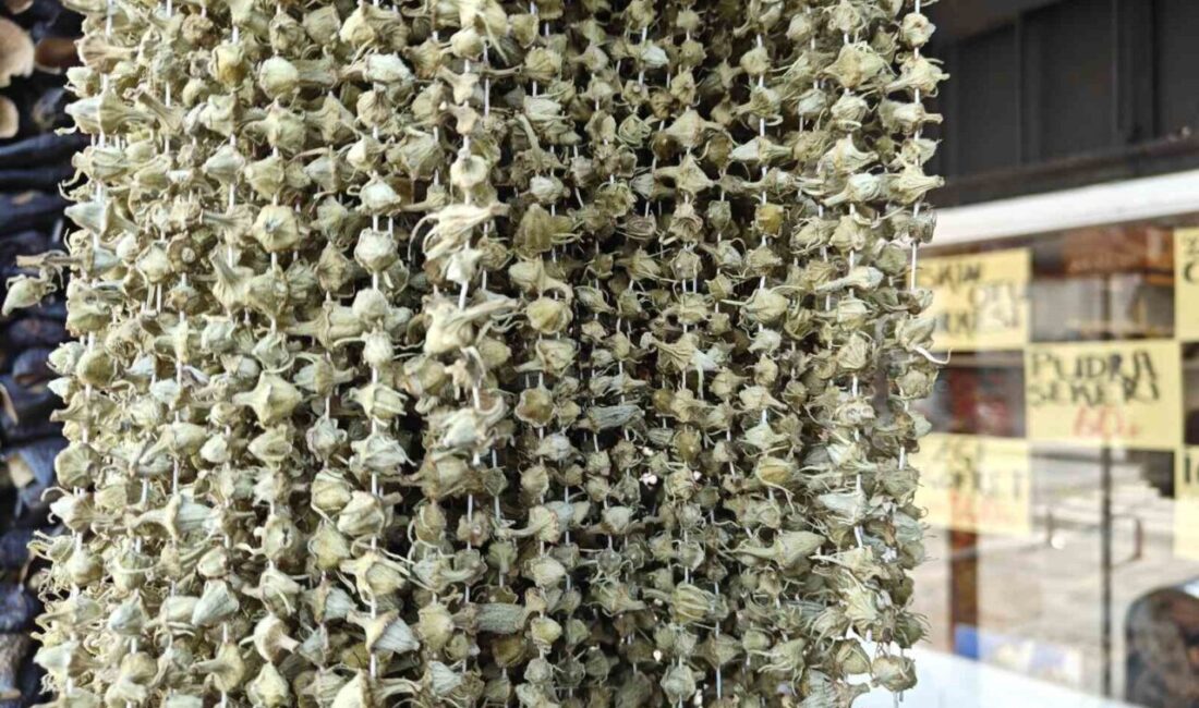 Ramazan ayının yaklaşması ile birlikte sofraların vazgeçilmezlerinden kurutulmuş bamya da