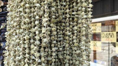 Ramazan ayının yaklaşması ile birlikte sofraların vazgeçilmezlerinden kurutulmuş bamya da