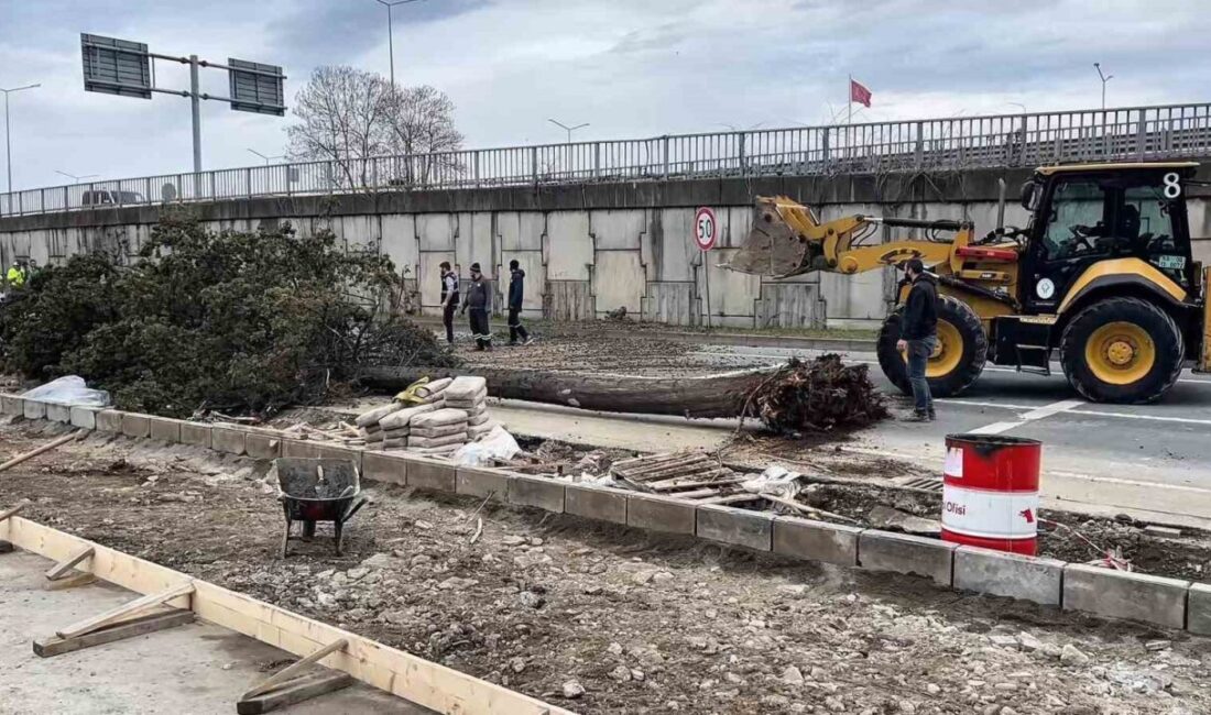 Rize’de etkili olan fırtınada devrilen ağaç nedeniyle Menderes Bulvarı yan
