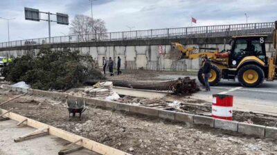 Rize’de etkili olan fırtınada devrilen ağaç nedeniyle Menderes Bulvarı yan