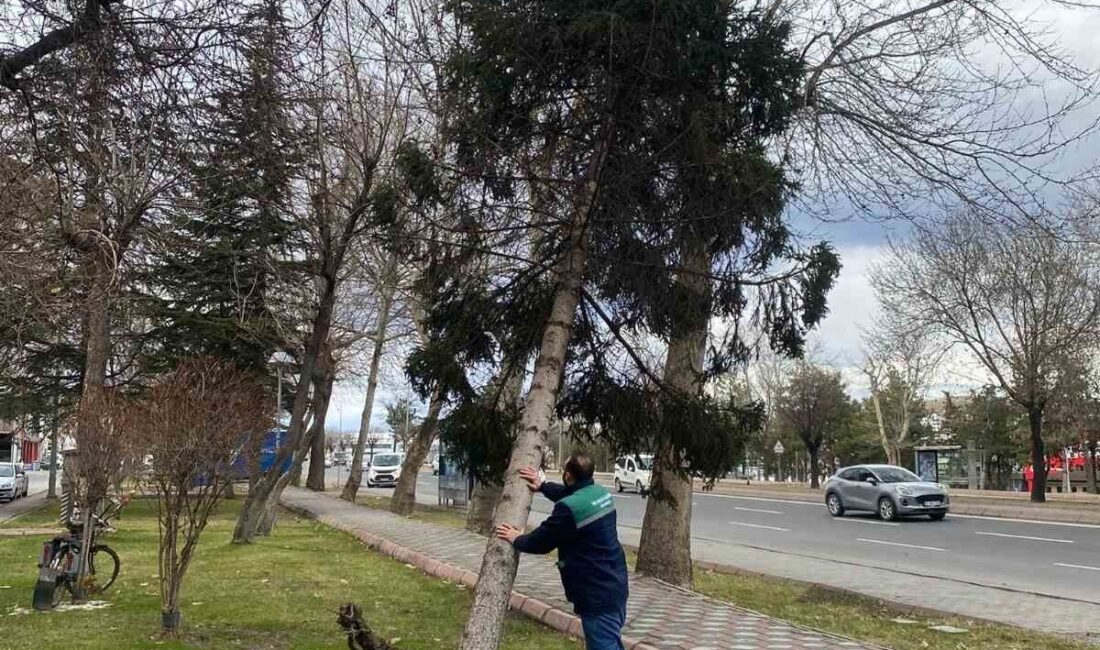 Kayseri’de etkili olan sert rüzgârın şehir yaşamını olumsuz etkilememesi için