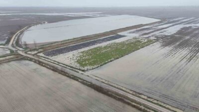 Osmaniye’de etkili olan sağanak yağmurun ardından Kadirli ilçesinde binlerce dönüm
