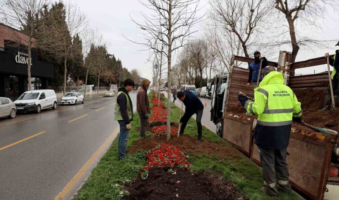 Sakarya Büyükşehir Belediyesi, son 3 ay içerisinde şehrin çeşitli noktalarındaki