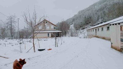 Sakarya’da şehir merkezinde etkili olan soğuk hava ve yağmur, yüksek