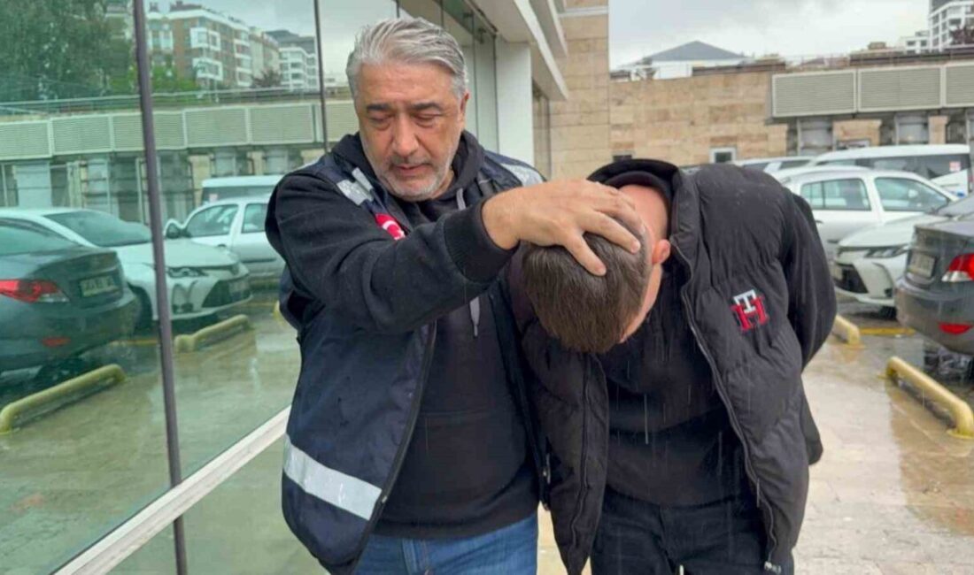 Samsun’da yolun karşısına geçmeye çalışırken kamyonetin çarpması sonucu hayatını kaybeden