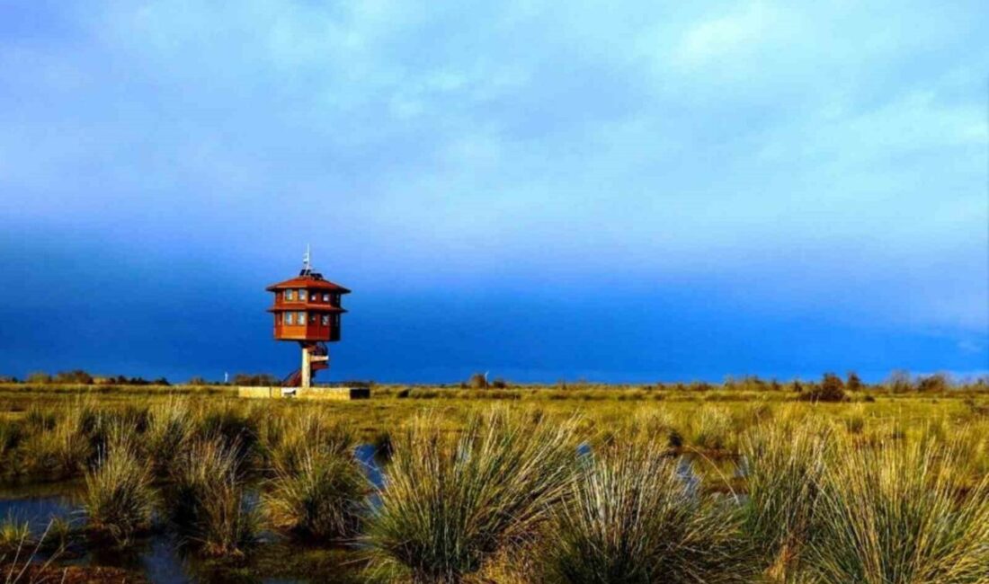 SAMSUN (İHA) – Samsun’da bulunan tabiat parklarını 2025 yılında toplam