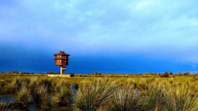 SAMSUN (İHA) – Samsun’da bulunan tabiat parklarını 2025 yılında toplam