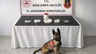 Şanlıurfa’nın Birecik ilçesinde 538 gram uyuşturucu madde ele geçirildi, 1