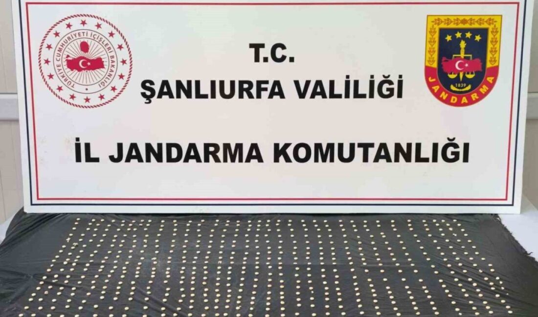 Şanlıurfa’da düzenlenen uyuşturucu operasyonunda, 565 adet sentetik hap ele geçirildi,