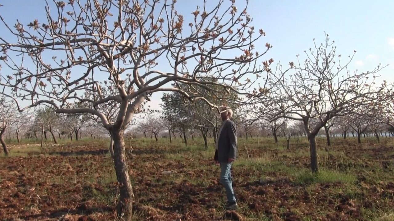 Şanlıurfa Ziraat Mühendisleri Odası Başkanı Mehmet Sözen, son dönemde etkili