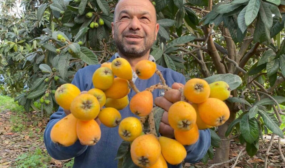 Mersin’in Erdemli ilçesinde sezonun ilk yenidünyaları tezgahtaki yerini aldı. Henüz