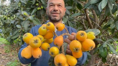 Mersin’in Erdemli ilçesinde sezonun ilk yenidünyaları tezgahtaki yerini aldı. Henüz