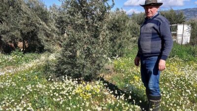 Manisa’nın Sarıgöl ilçesinde şubat ayında etkili olan güneşli ve ılık