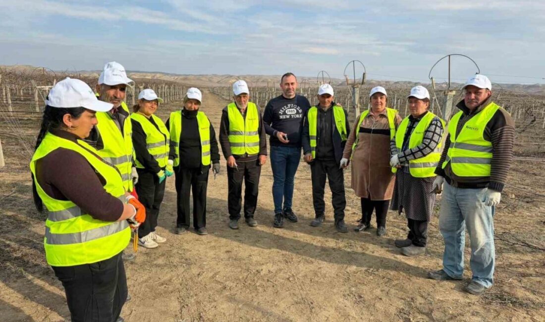Manisa’nın Sarıgöl ilçesinden ziraat mühendisi Mustafa Çinkılıç, Azerbaycan’ın Ağstafa rayonunda