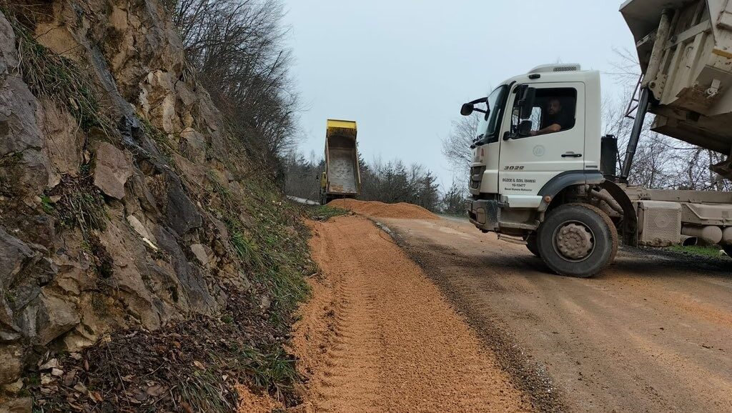 DÜZCE (İHA) – Yığılca ilçesine bağlı Sarıkaya köyünde köy yollarında