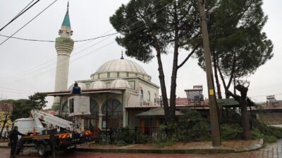 Şehzadeler Belediyesi’nin budama çalışmaları sonrası topladığı ağaç dalları, Belediye Başkanı