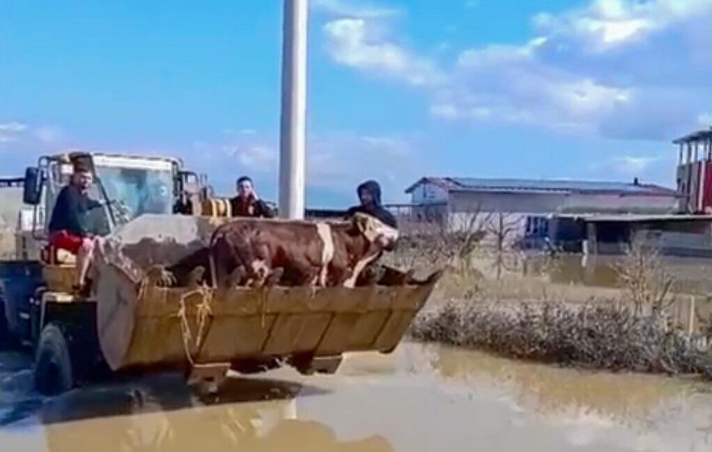 Manisa’nın Şehzadeler ilçesinde Gediz Nehri’nin taşması sonucu selde boğulmak üzere