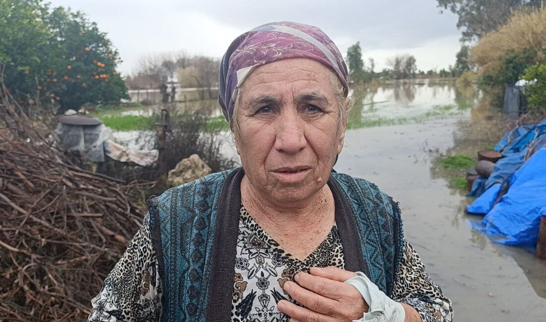 Adana’da sel sularının yükselmesiyle bir bahçede mahsur kalan köpeği AKOM