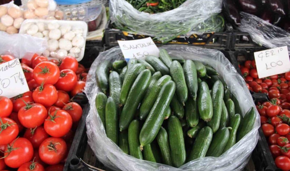 Muğla’da kış aylarında etkili olan kuvvetli yağış ve fırtına seralarda