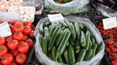 Muğla’da kış aylarında etkili olan kuvvetli yağış ve fırtına seralarda