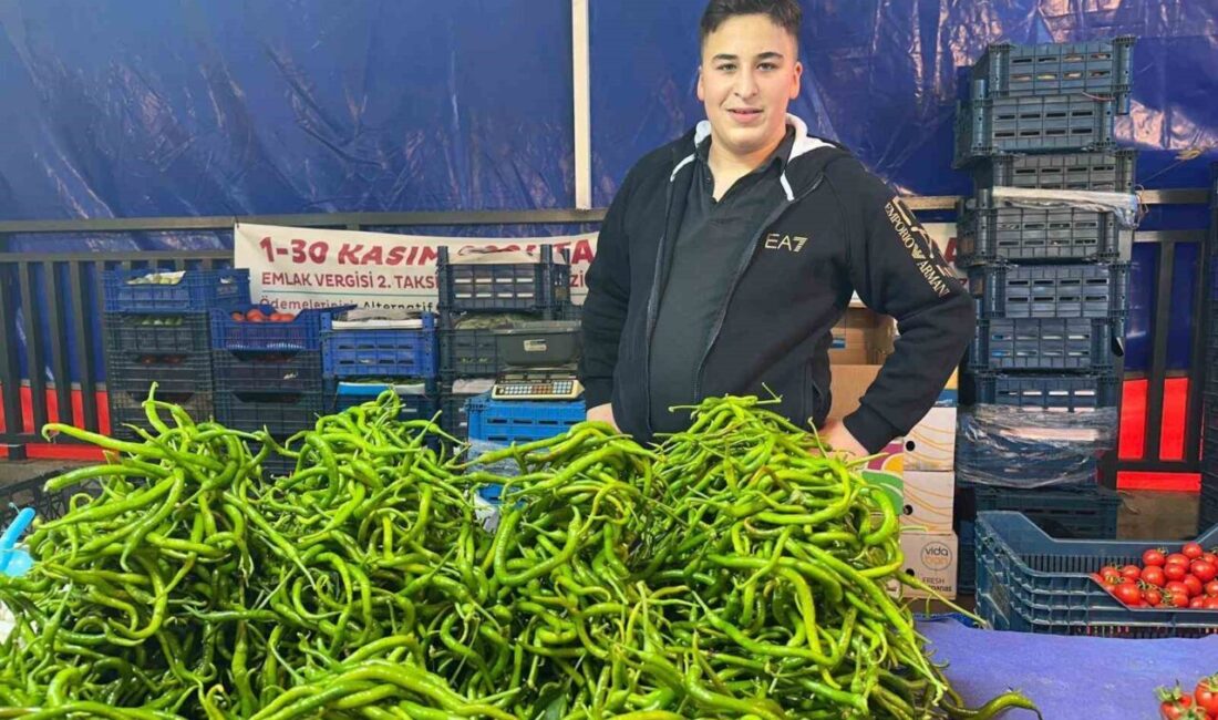 Ocak sonunda 80-100 liradan satılan sivri biberin kilosu, Antalya’daki seraların