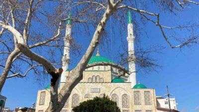 Türkiye İstatistik Kurumunun (TÜİK) 2025 yılı nüfus verilerine göre, Antalya’nın