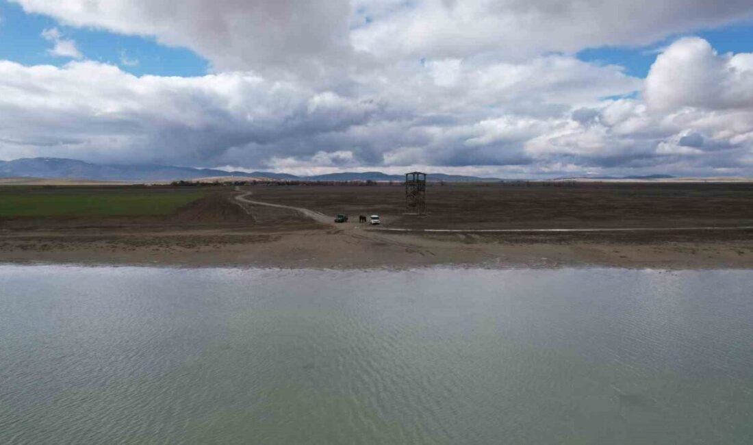 KIRŞEHİR (İHA) – Seyfe Gölü, göç yolları üzerinde konaklayan yüzlerce