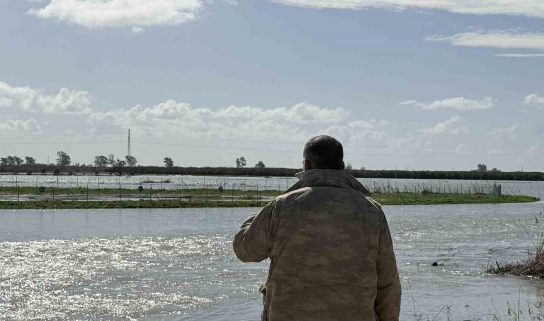 Son günlerde etkili olan şiddetli yağışların ardından baraj kapaklarının açılmasıyla