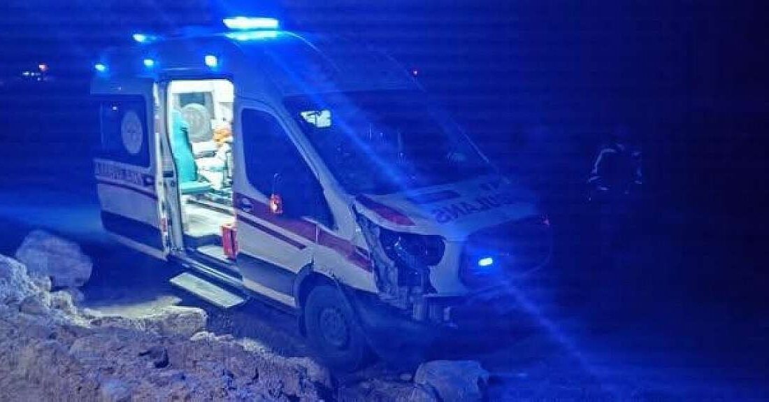 Siirt’te başıboş at, hasta taşıyan ambulansın çarpması sonucu telef oldu.