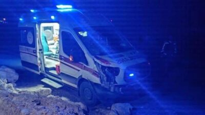 Siirt’te başıboş at, hasta taşıyan ambulansın çarpması sonucu telef oldu.